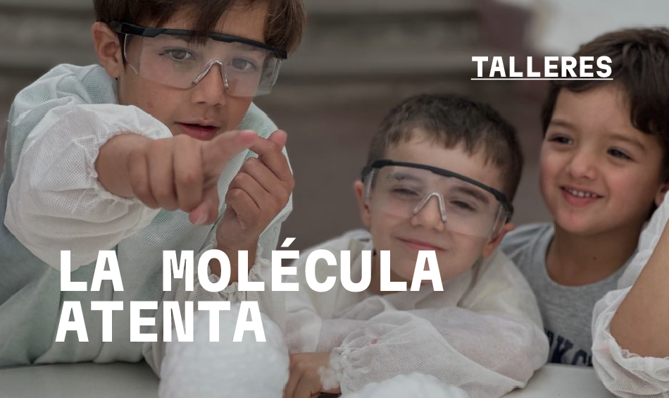 La Molécula Atenta: experimentos científicos para infancias
