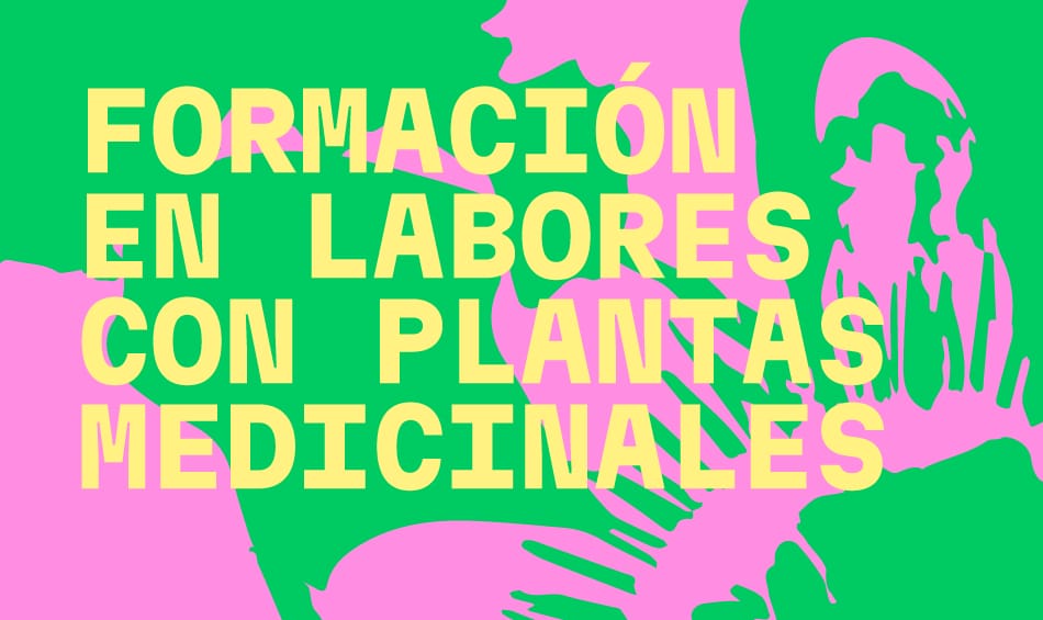 Formación en labores con plantas medicinales