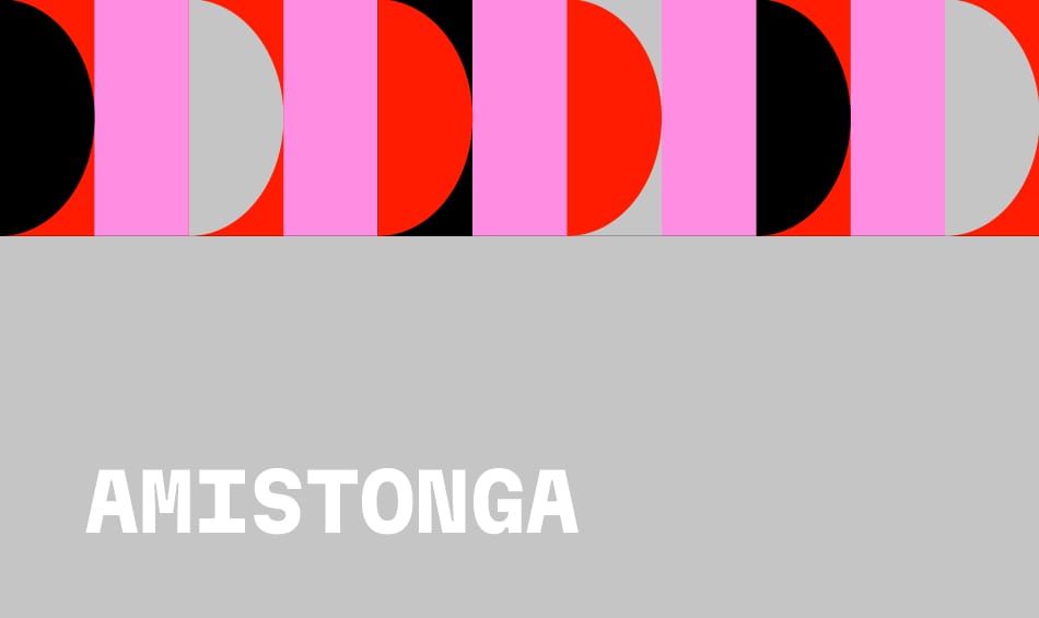 Amistonga: pr&aacute;ctica de tango