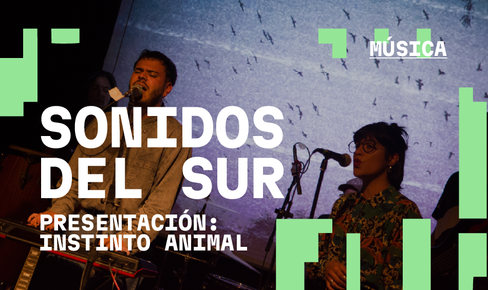 SONIDO DEL SUR