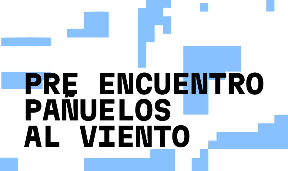 Pre encuentro pa&ntilde;uelos al viento